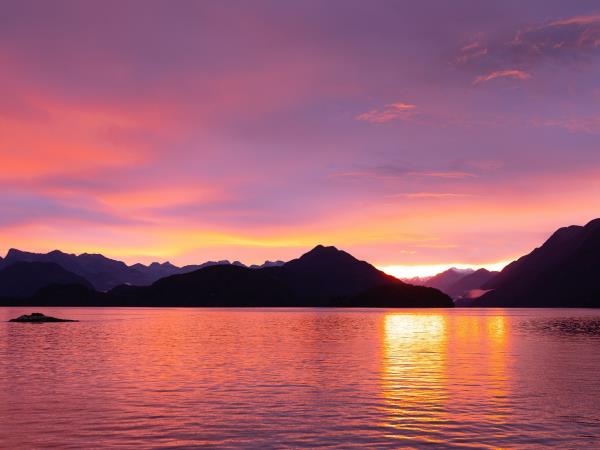 New Zealand wildest Island cruise, inc Stewart Island