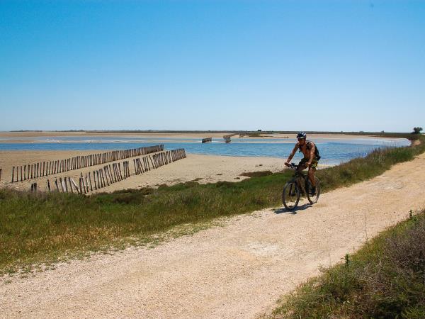 Provence to Camargue cycling vacation in France