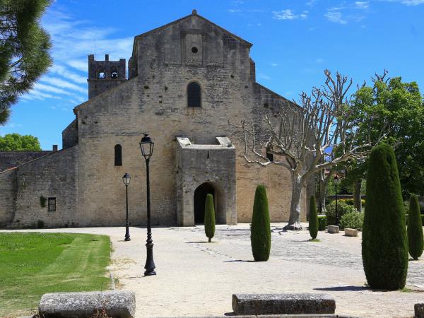 Provence to Camargue cycling vacation in France