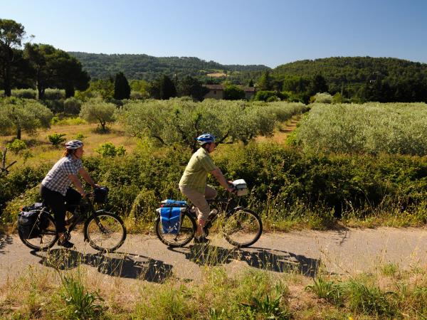 Provence to Camargue cycling vacation in France