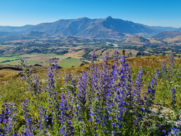 New Zealand south island group tour
