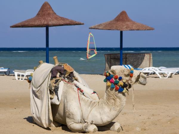 Morocco family tour, camels, kasbahs & beach