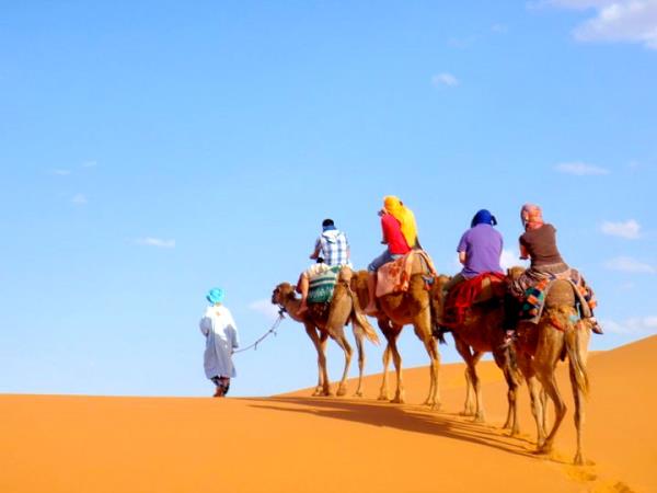 Morocco family tour, camels, kasbahs & beach
