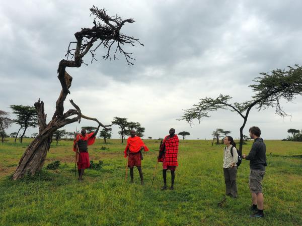 Kenya migration safari vacation