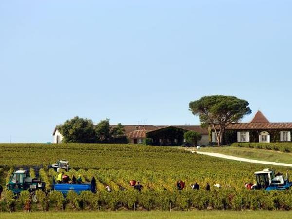 Bordeaux cycling vacations, city & vineyards