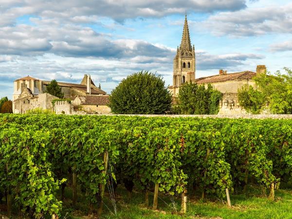 Bordeaux cycling vacations, city & vineyards