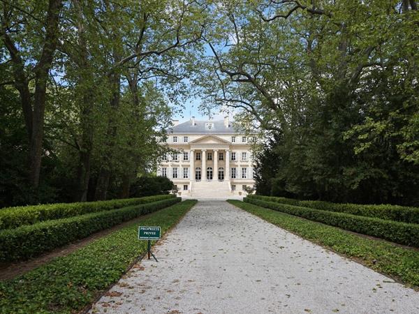 Bordeaux cycling vacations, city & vineyards