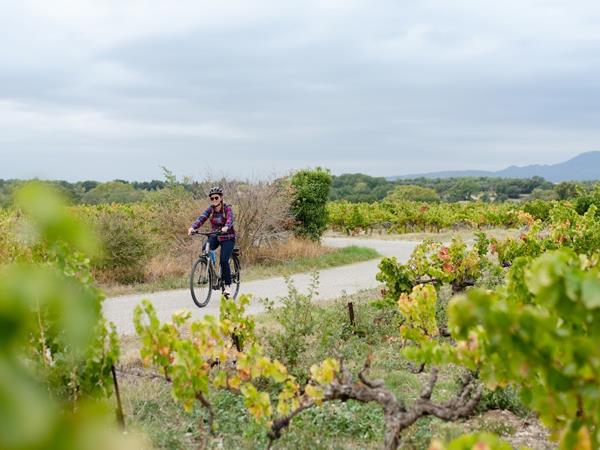 Bordeaux cycling vacations, city & vineyards