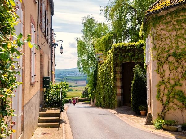 Cycling vacation in Champagne, France