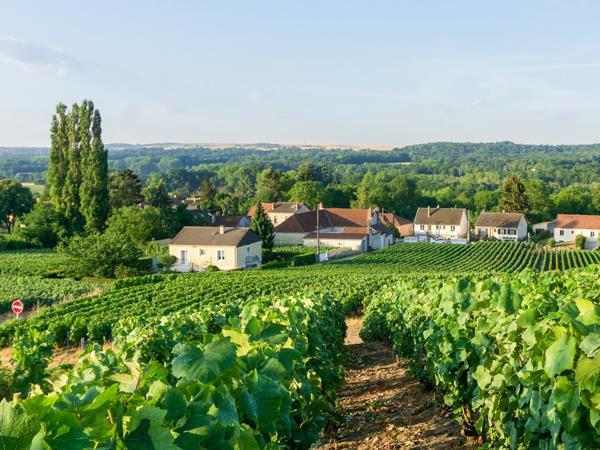 Champagne biking vacation, France