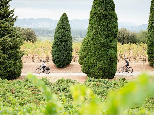 Provence easy cycling vacation in France