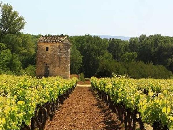 Cycling vacation in Provence, self guided