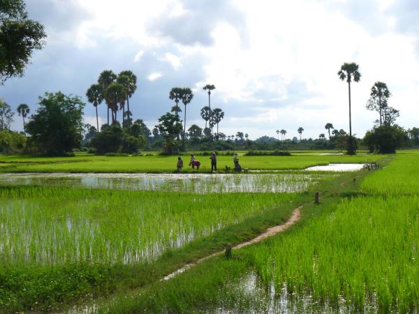 Cambodia cultural vacation with purpose