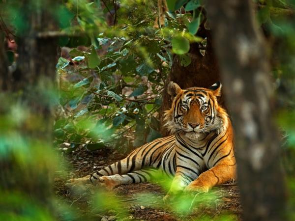 India adventure vacation, north to south