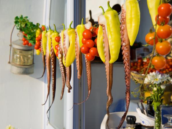 Highlights of the Greek Islands vacation