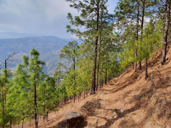 Women only Bhutan holiday
