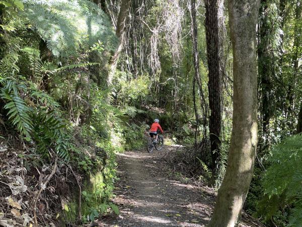 Marlborough cycling vacation in New Zealand