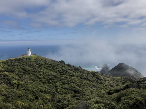 Cycle the North Island, Cape Reinga to Wellington