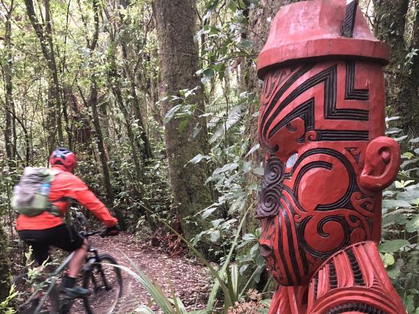 Cycle the North Island, Cape Reinga to Wellington