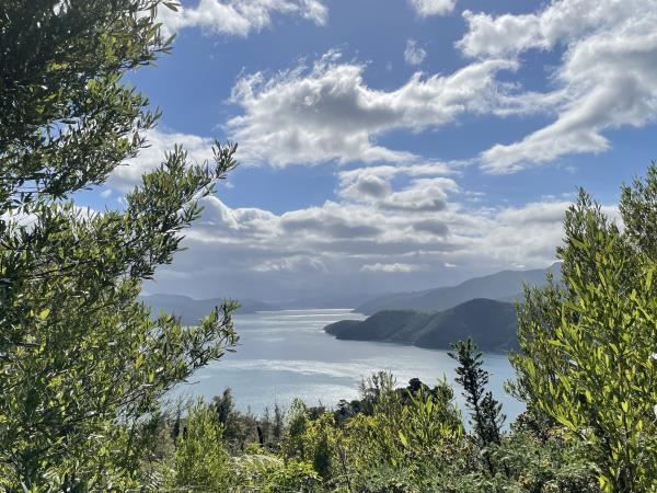 New Zealand cycling tour, South Island