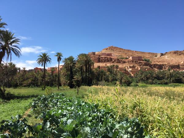 Marrakech & Sahara private tour, Morocco