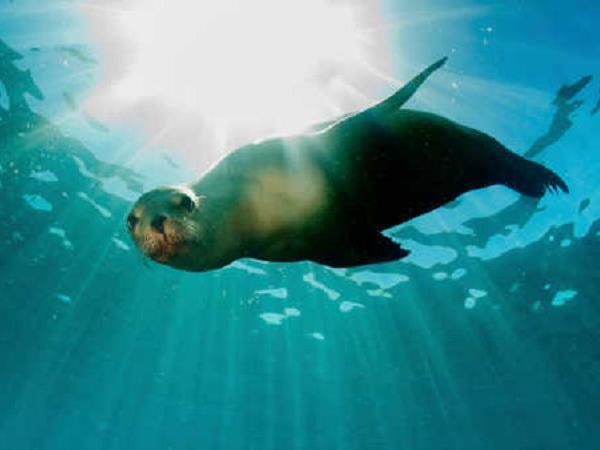Galapagos Islands expedition cruise