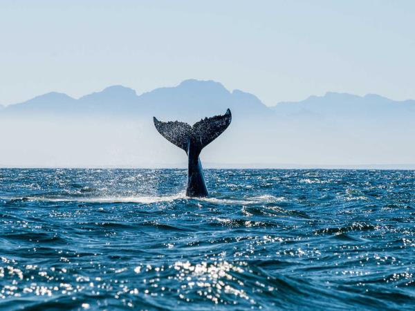 South Africa Garden Route luxury vacation