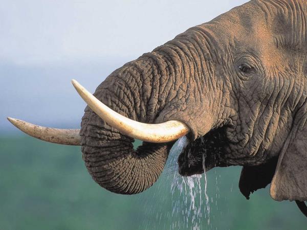 South Africa Garden Route luxury vacation