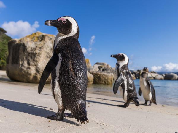 South Africa Garden Route luxury vacation