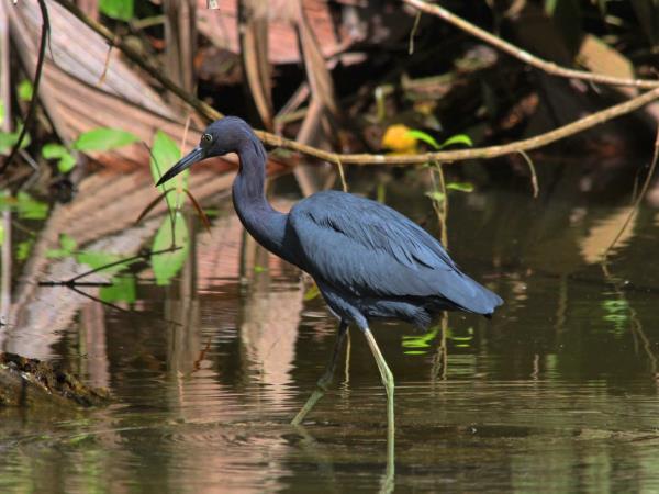 Costa Rica luxury nature tour