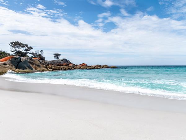 Painting vacation in Tasmania, Seascapes
