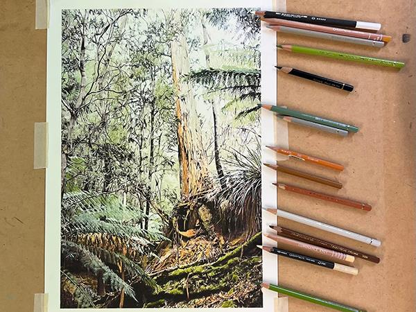 Drawing vacation in Tasmania