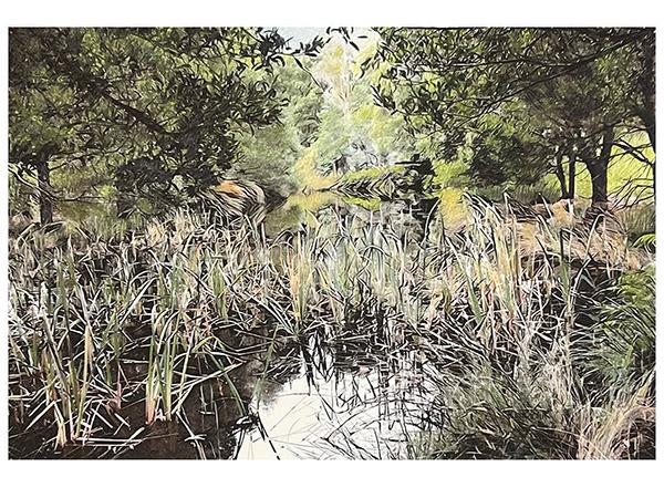 Drawing vacation in Tasmania
