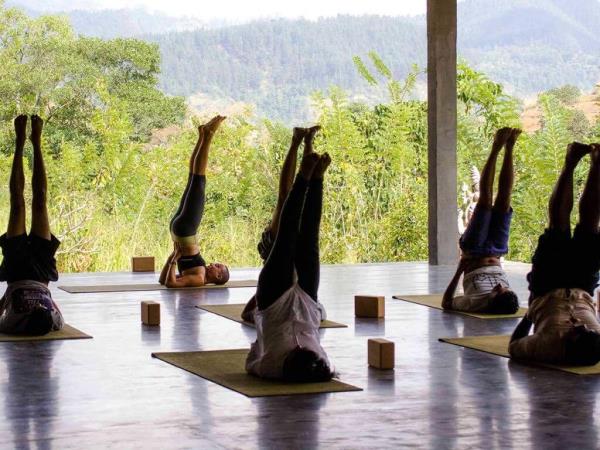 Swim with Blue Whale and safari in Sri Lanka