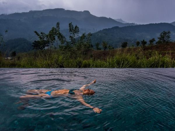 Swim with Blue Whale and safari in Sri Lanka