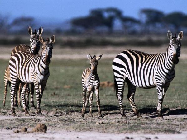 Nairobi to Cape Town overland tour