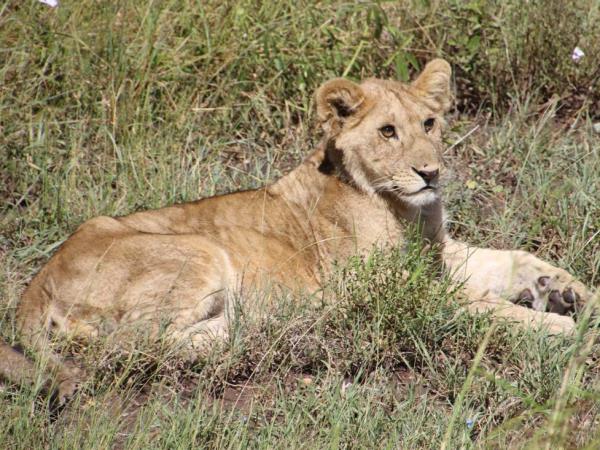 Nairobi to Dar Es Salaam 2 week tour