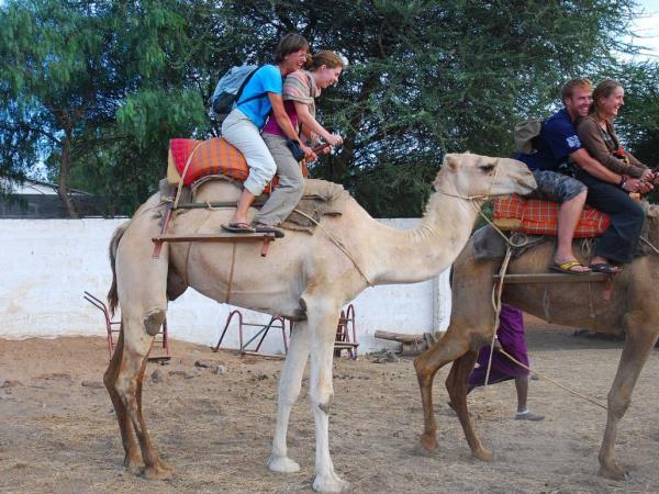 Nairobi to Dar Es Salaam 2 week tour