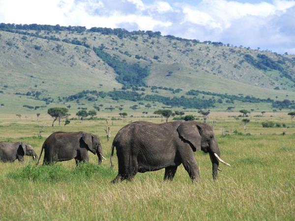 Nairobi to Harare overland tour, 41 days
