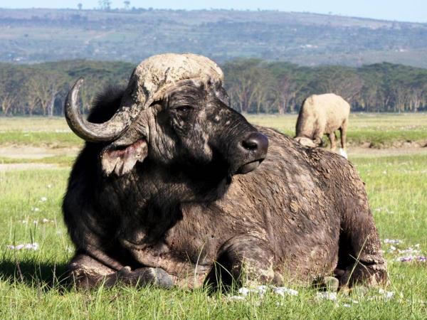 Nairobi to Harare overland tour, 41 days