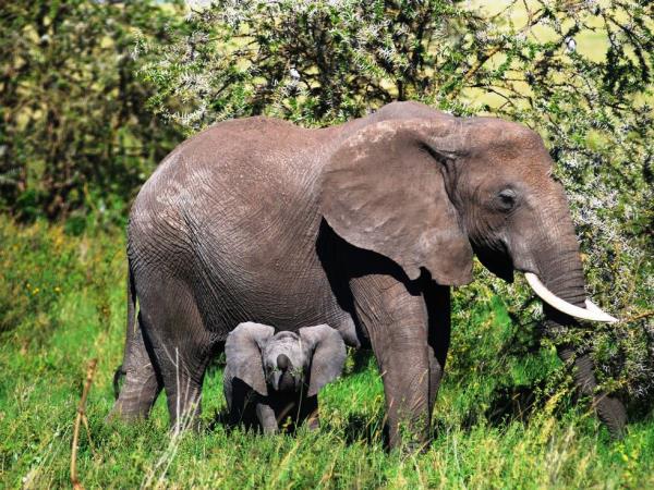 Kenya to Zimbabwe overland tour, 3 weeks