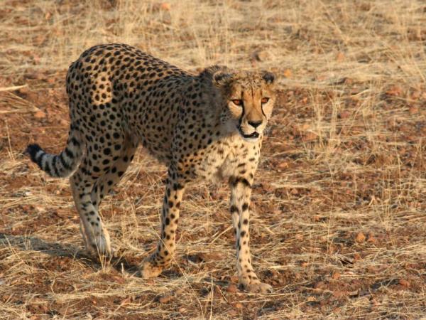 Kenya to Zimbabwe overland tour, 3 weeks