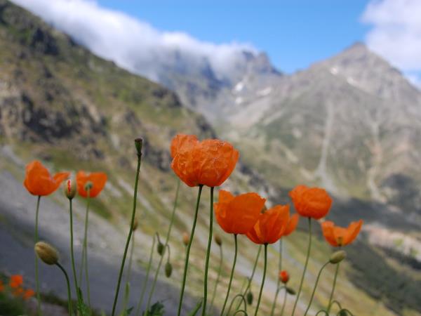 Kaçkar Mountains walking vacation in Turkey
