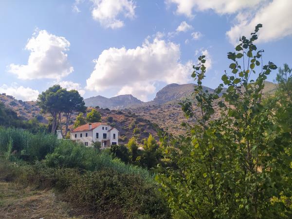 Yoga Retreats in Valencia, Spain