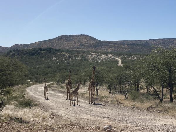 Namibia cycling tour