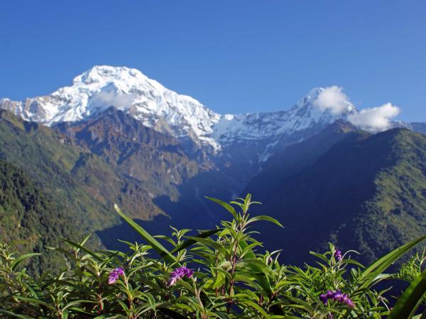 Annapurna foothills trek & Chitwan safari, Nepal