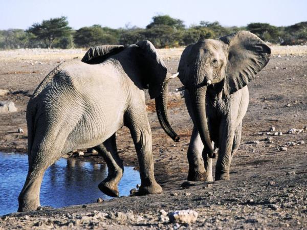 Victoria Falls to Johannesburg overland tour