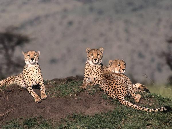 Victoria Falls to Johannesburg overland tour