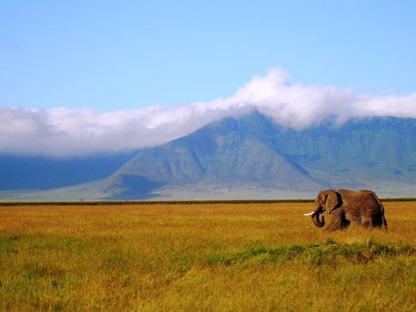 Nairobi To Victoria Falls overland tour, 53 days