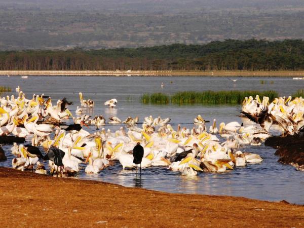 Nairobi To Victoria Falls overland tour, 53 days